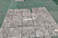 ইতালি সানি প্রাকৃতিক প্রস্তর মার্বেল / সিলভার গ্রে কালার মার্বেল টাইল স্ল্যাব ফ্লোর 30x30 সেমি