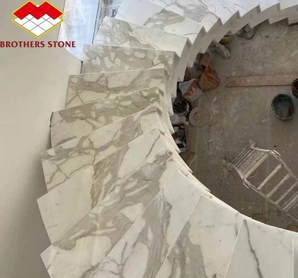 হোম ডেকোরেশন আধুনিক মাছের পেট সাদা মার্বেল পাথর স্ল্যাব লিভিং রুম এবং মেঝে টাইলস জন্য