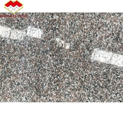 আধুনিক G664 সরবরাহকারী গ্রানাইট স্ল্যাব 60x60 পার্ক গ্রাফিক ডিজাইন জন্য Porrno গ্রানাইট টাইলস