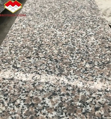 আধুনিক G664 সরবরাহকারী গ্রানাইট স্ল্যাব 60x60 পার্ক গ্রাফিক ডিজাইন জন্য Porrno গ্রানাইট টাইলস
