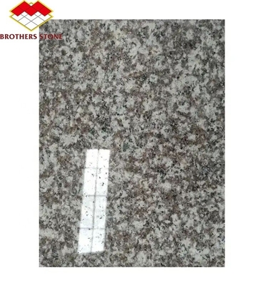 আধুনিক G664 সরবরাহকারী গ্রানাইট স্ল্যাব 60x60 পার্ক গ্রাফিক ডিজাইন জন্য Porrno গ্রানাইট টাইলস